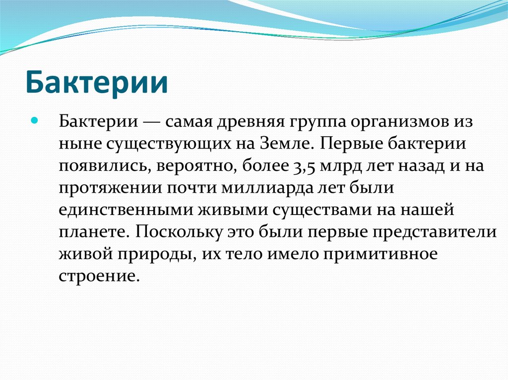 Появление бактерий в организме. Самая древняя группа организмов из ныне существующих на земле. Как появились бактерии.