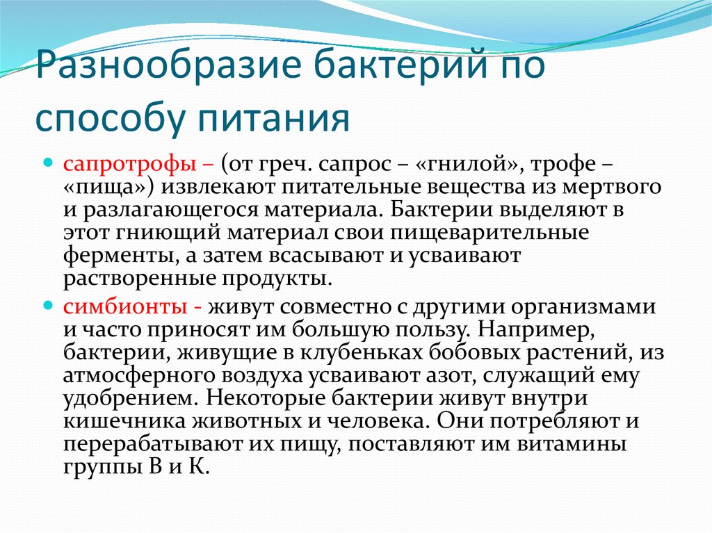 Разнообразие текстов. Разнообразие бактерий. Разнообразие бактерий по способу питания. Бактерии гниения способ питания. Бактерии гниения по способу питания это.