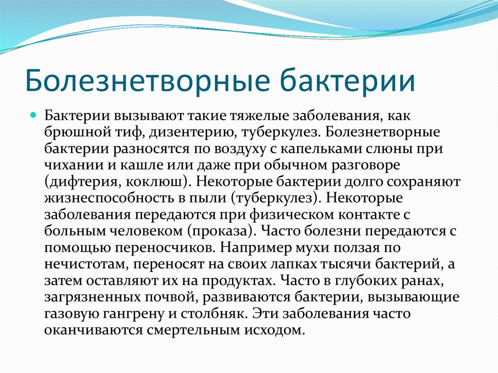 Бактерии заболевания. Болезнетворные бактерии. Болезнетворные бактерии доклад. Болезнитворныебактерии. Болезне трофные бактерии.