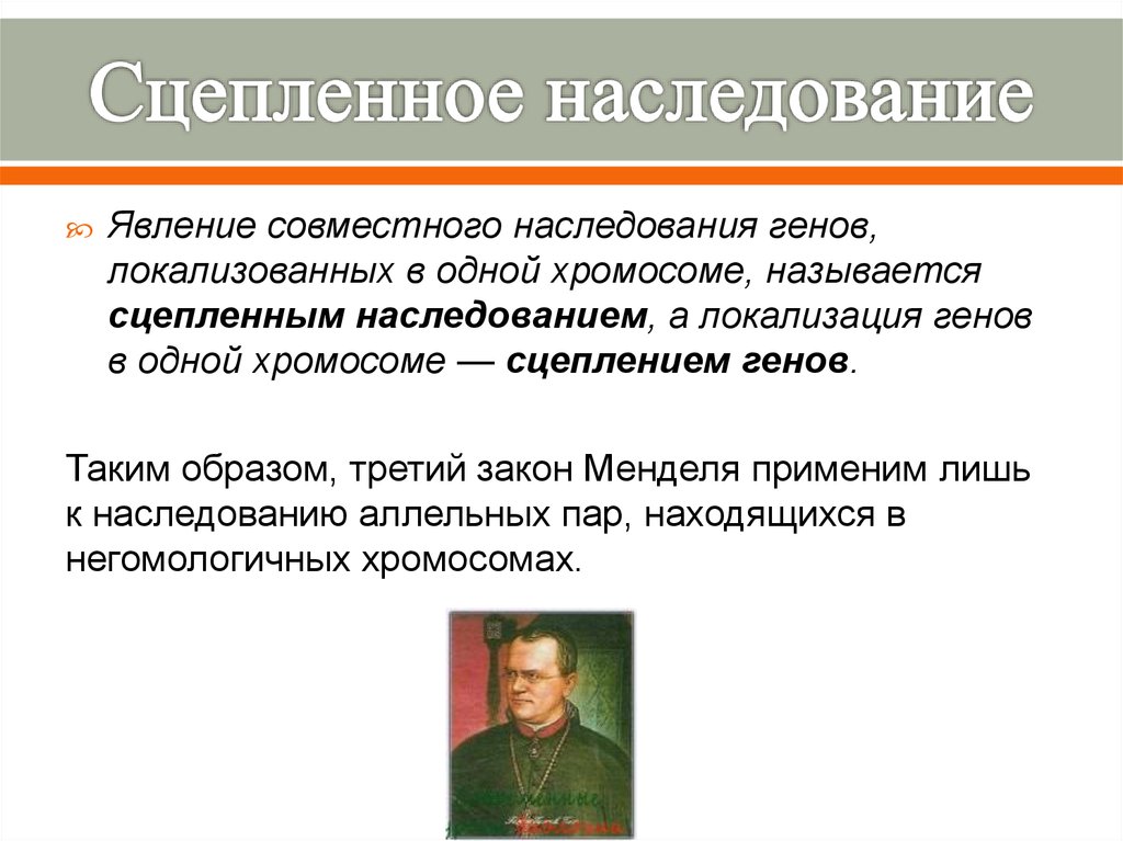 Закон менделя сцепленное наследование. Сцепленное наследование признаков 10кл. Сцепленноеинаследованик. Несуепленное наследование. Сцепленное наследованиемэто.