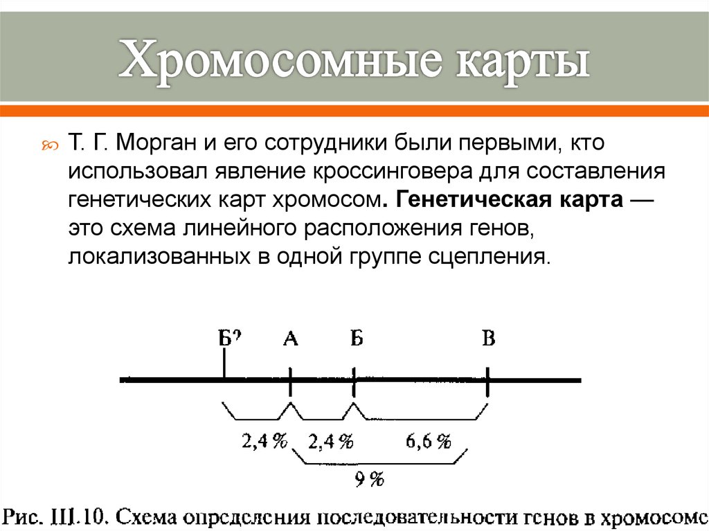 Карта хромосом это