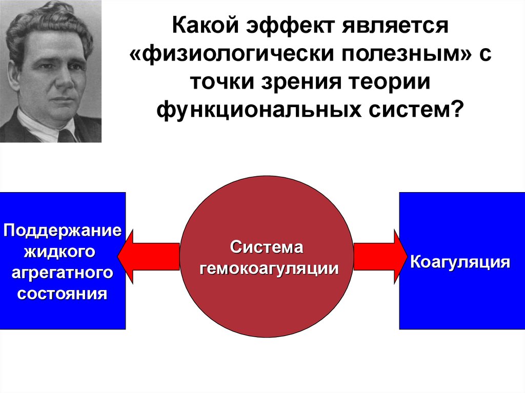 Автором функциональной теории является