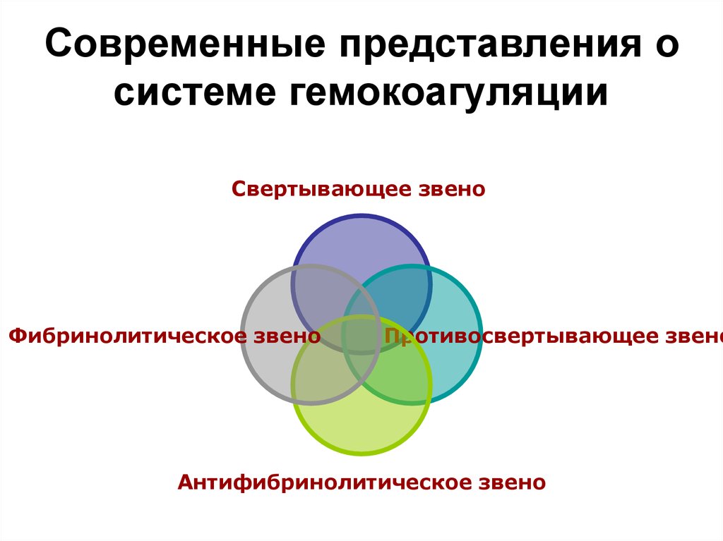 Человек современное представление