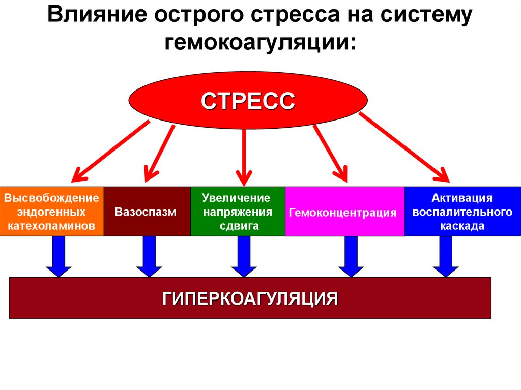 Влияние 10. Механизм стресс-реализующие системы. Схема стресс реализующей системы. Факторы, влияющие на скорость развития гемокоагуляции.. Стресс реализующие механизмы центральные и периферические.