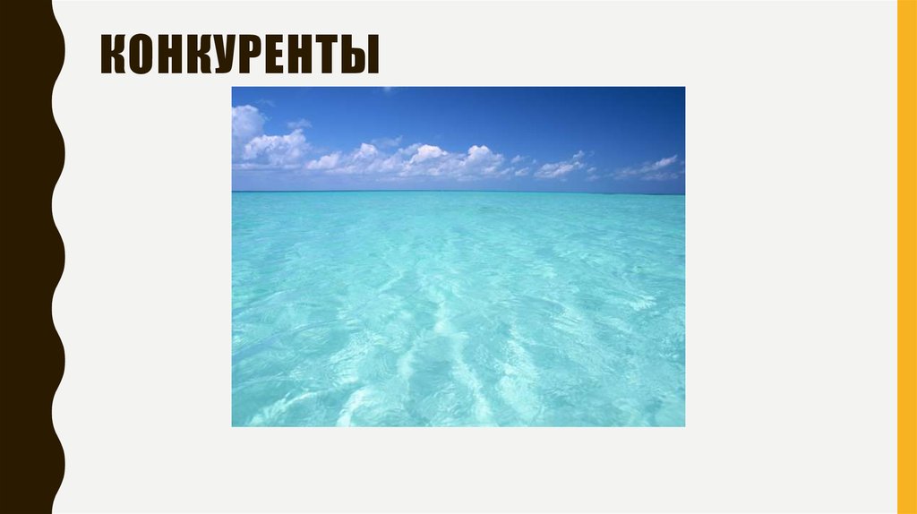 Бизнес-модель