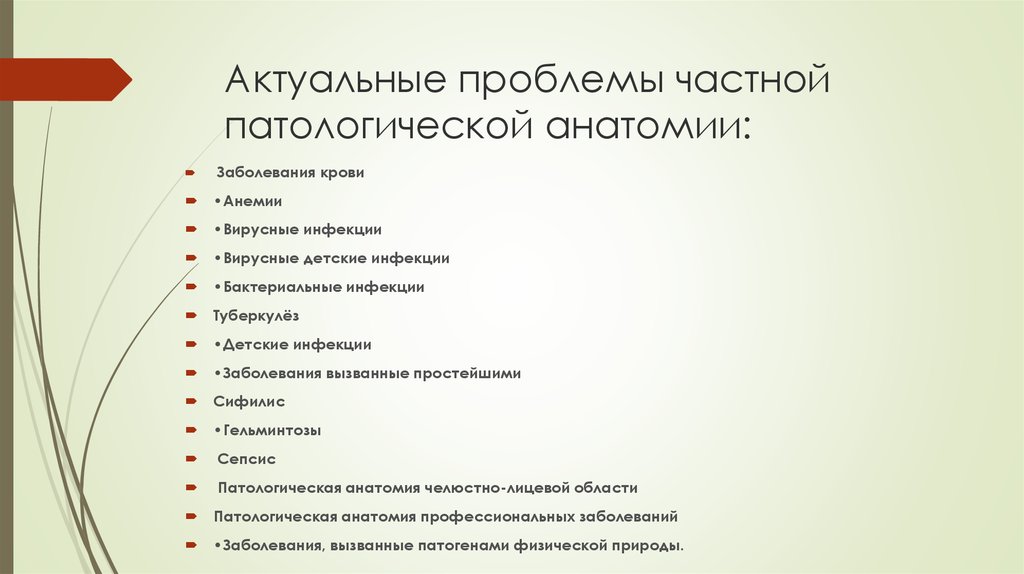 История развития патологической анатомии презентация