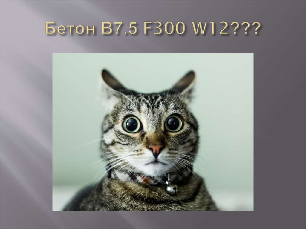 Бетон В7.5 F300 W12???