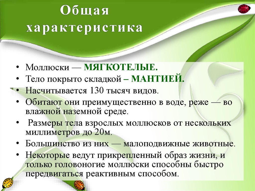 Общая характеристика