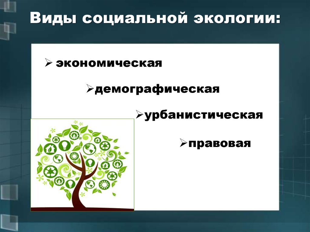 Презентация на тему социальная экология