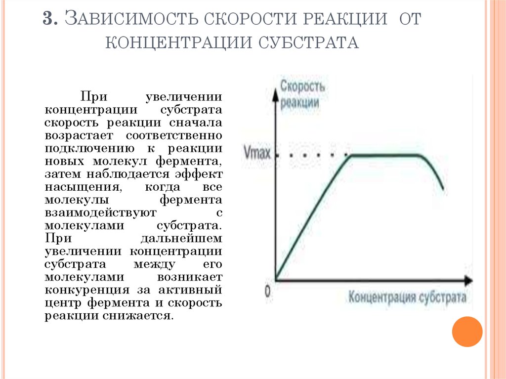 Скорость реакции ферментов