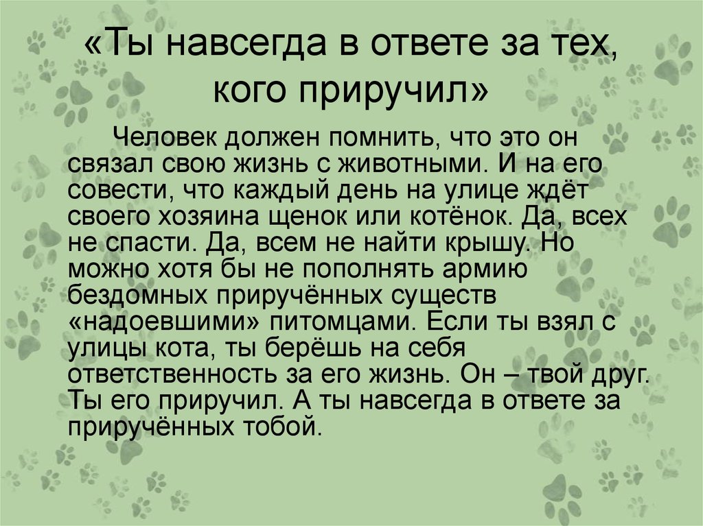 Согласны ли вы с тем что. Мы в ответе за тех кого приручили сочинение. Сочинение на тему мы в ответе за тех кого приручили. Ты навсегда в ответе за тех кого приручил. Ti navsegda v otvete za Tex kogo priruchi.