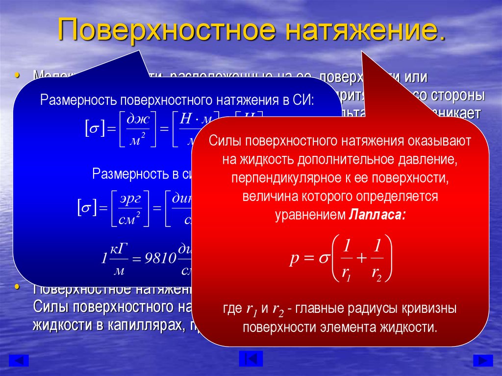 Высота поверхностного натяжения