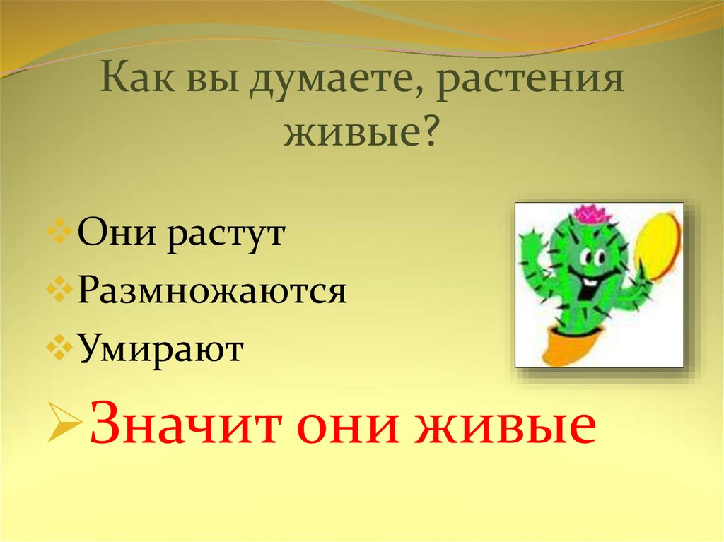 Как живут растения презентация 1 класс школа россии презентация