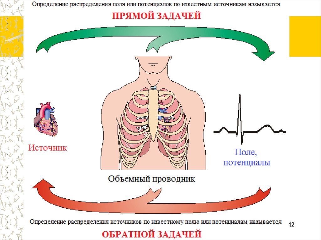 Объемный потенциал. Биоэлектромагнетизм.