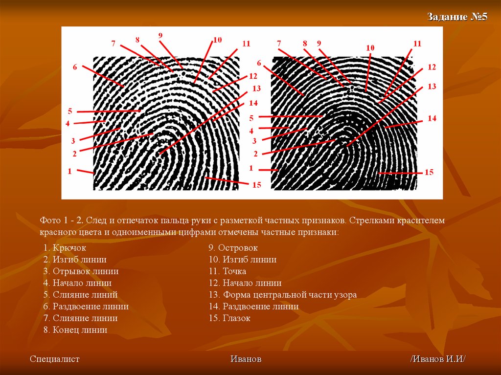 Сравнительные образцы криминалистика