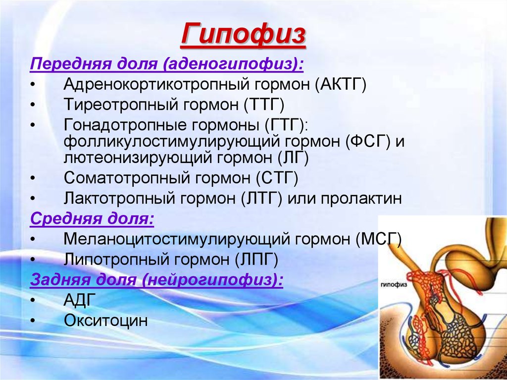 Заболевания гипофиза