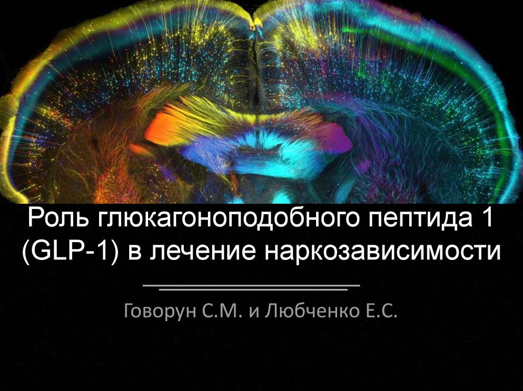 Глюкагоноподобного пептида 1. Глюкагоноподобный пептид. Глюкагоноподобный пептид-1. Глюкогоно подобный пептид 1. Разрушение глюкагоноподобного пептида 1.