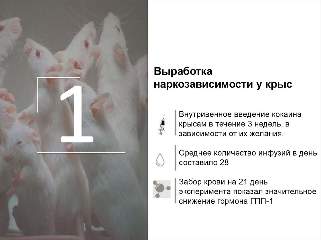 Роль глюкагоноподобного пептида 1 (GLP-1) в лечении наркозависимости ...
