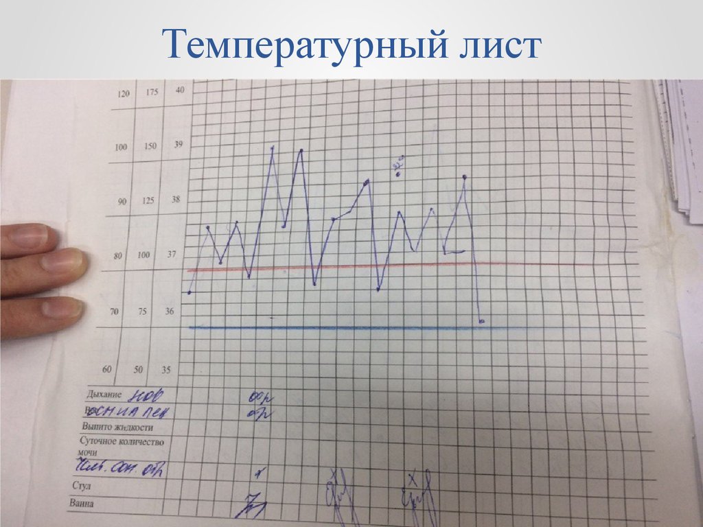 Температурный лист