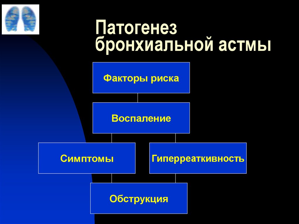 Схема патогенеза бронхиальной астмы