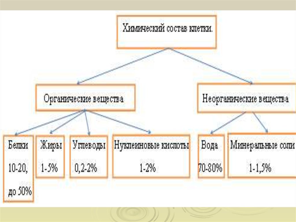 Химический состав клетки презентация 9 класс