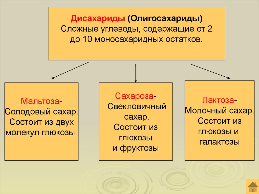 Химический состав клетки углеводы презентация