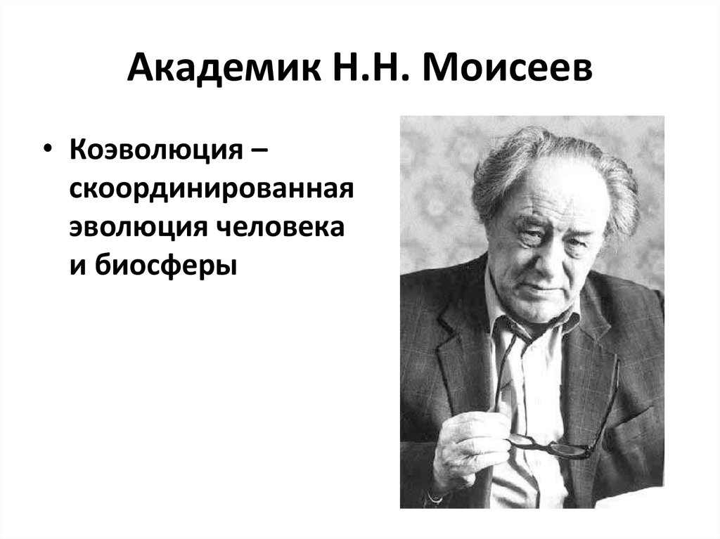 Академик Н.Н. Моисеев