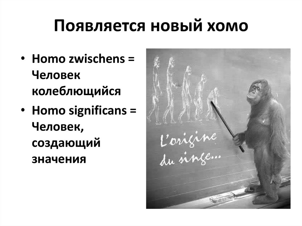 Появляется новый хомо