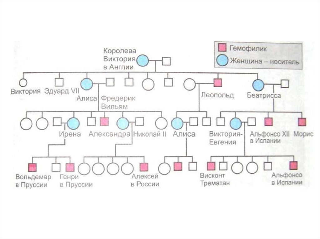 Гемофилия таблица. Родословная королевы Виктории. Генетические схемы наследования гемофилии. Генеалогическое Древо королевы Виктории. Родословная схема семьи с наследованием дальтонизма.