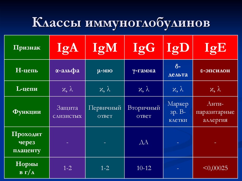 Характеристикой данного класса. Классы иммуноглобулинов таблица микробиология. Иммуноглобулин классификация и функции. Классификация иммуноглобулинов иммунология. Иммуноглобулины классы и функции.