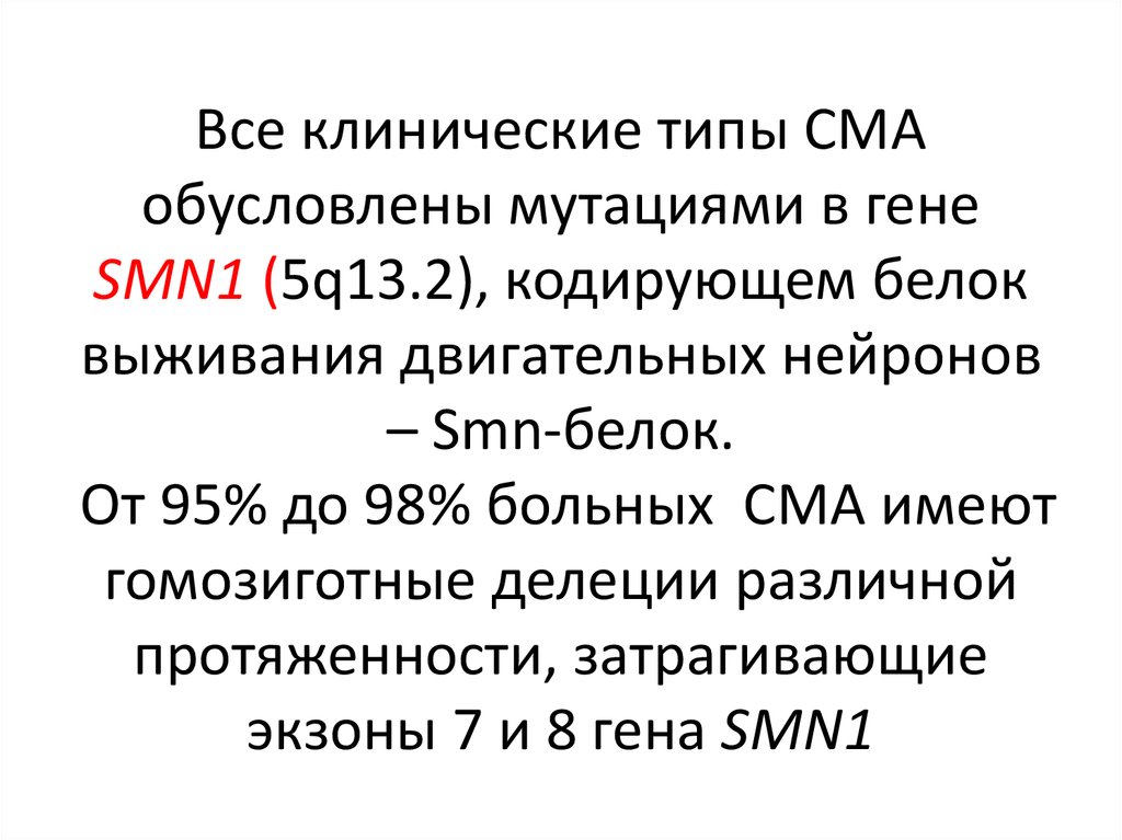 Спинальная мышечная атрофия. Ген smn1.