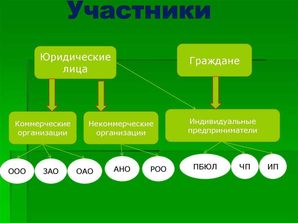 Индивидуальные граждане. Участники юридического лица. Участники юр лица. Организационно-правовая форма это. АНО ООО ОАО.