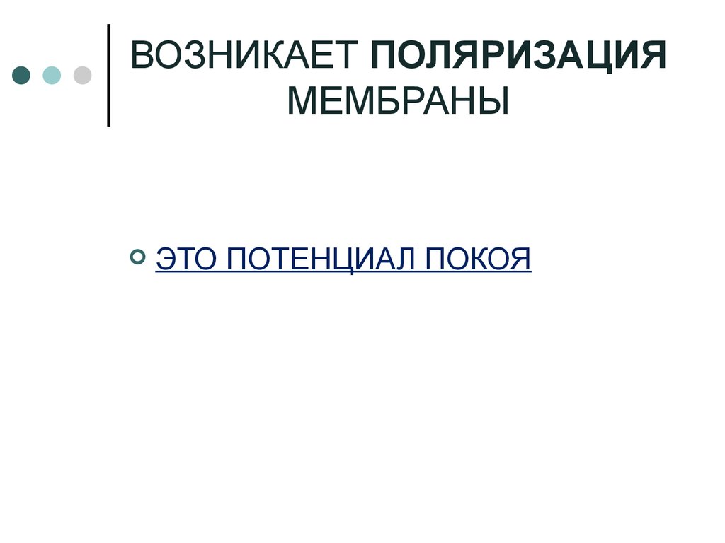 ВОЗНИКАЕТ ПОЛЯРИЗАЦИЯ МЕМБРАНЫ