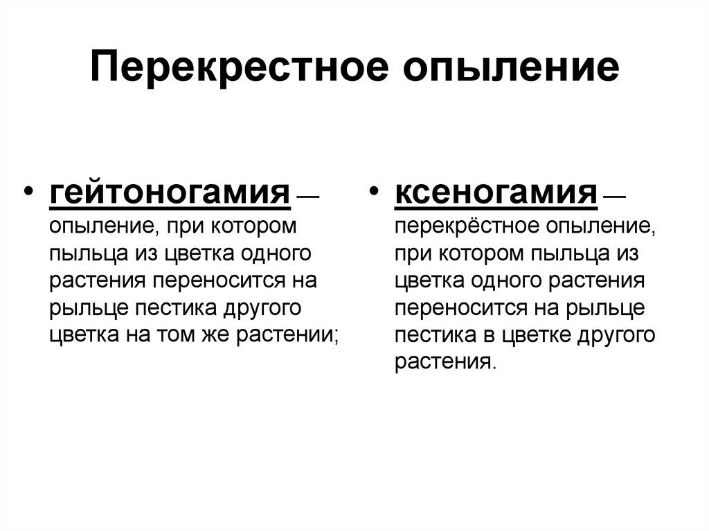 Перекрестное опыление. Ксеногамия и гейтоногамия. Перекрёстное опыление (ксеногамия). Гейтоногамия опыление. Опыление автогамия ксеногамия.