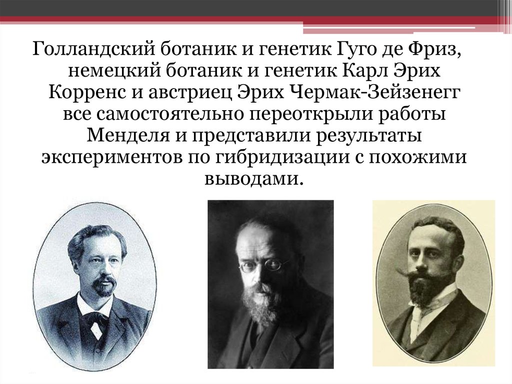 История становления генетики как науки. История развития генетики презентация. Корренс вклад в генетику. Год рождения науки генетики. Эрих Чермак вклад в генетику.