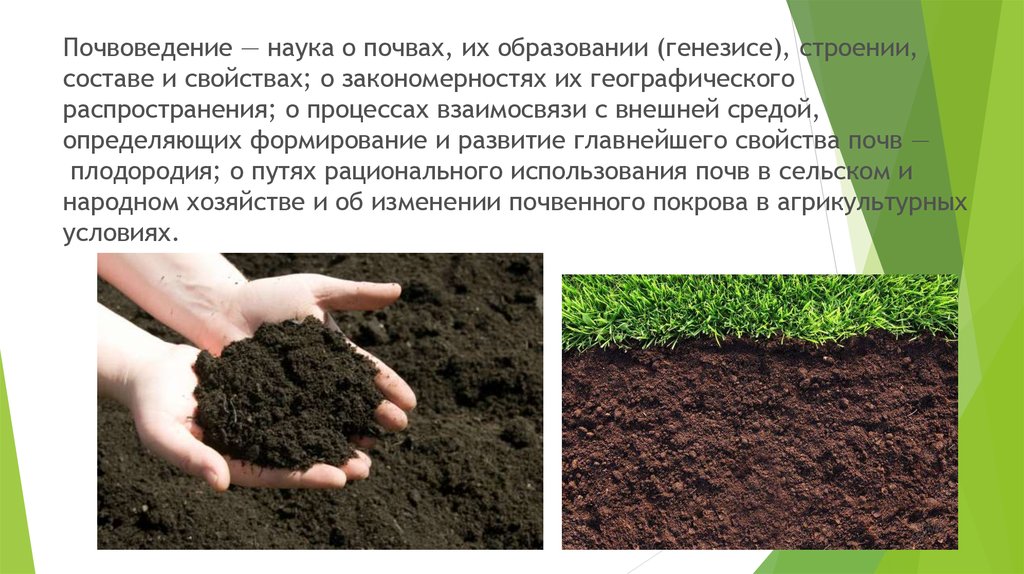 Какая структура почва благоприятна для сельскохозяйственных растений. Образование структуры почвы. Почва это в почвоведении. Почвенные исследования. Почвенный Покров.
