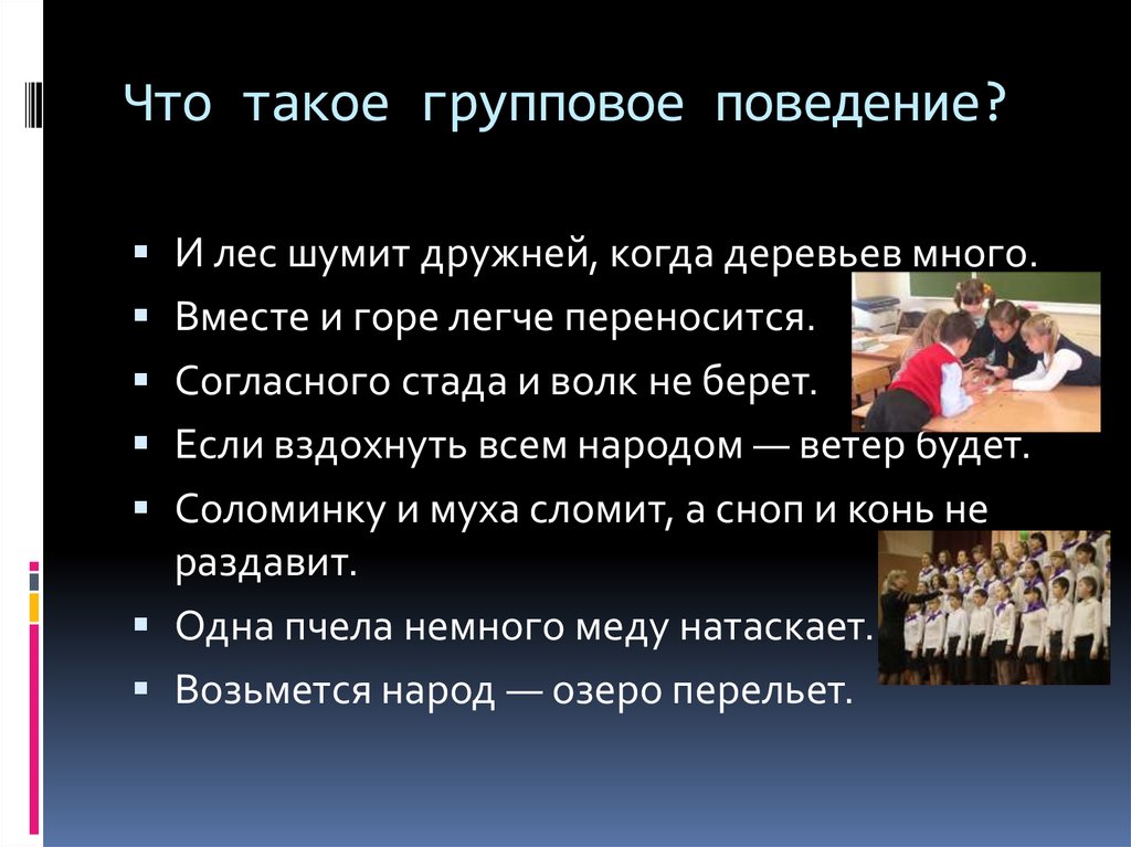 Групповое поведение. Поведение. Определить групповое поведение. Групповое поведение людей.