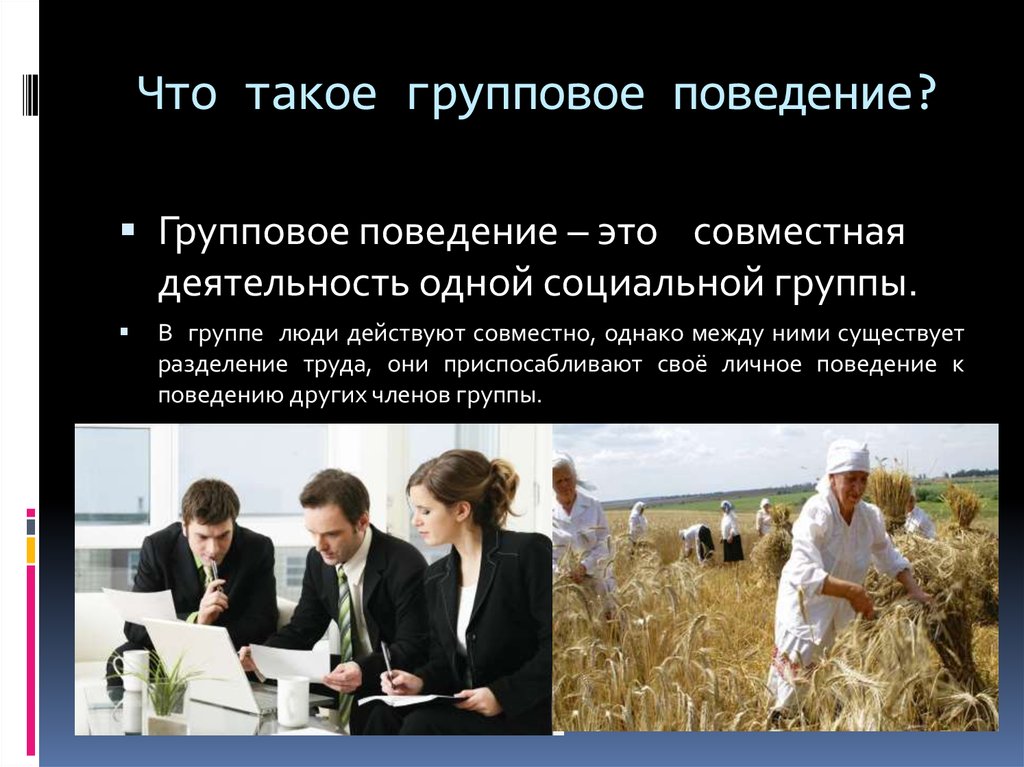 Человек в группе обществознание класс. Групповое поведение людей. Групповое поведение это в психологии. Примеры группового поведения. Человек в группе Обществознание.