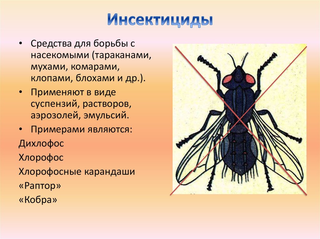 Мухи комары текст