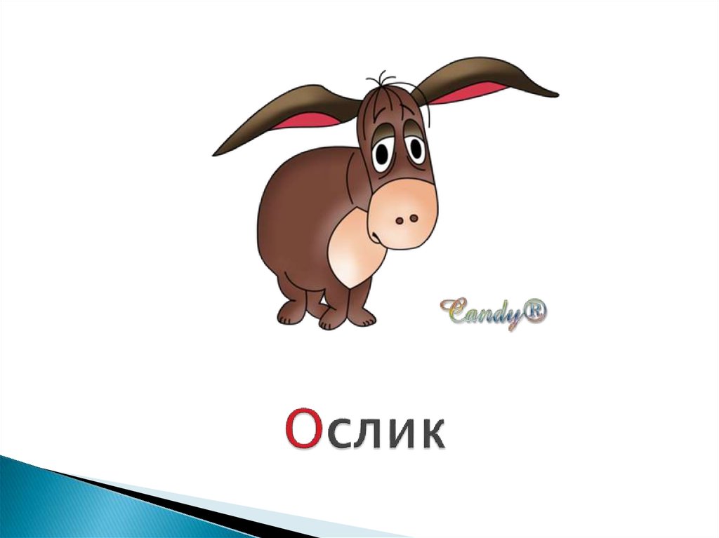 Ослик