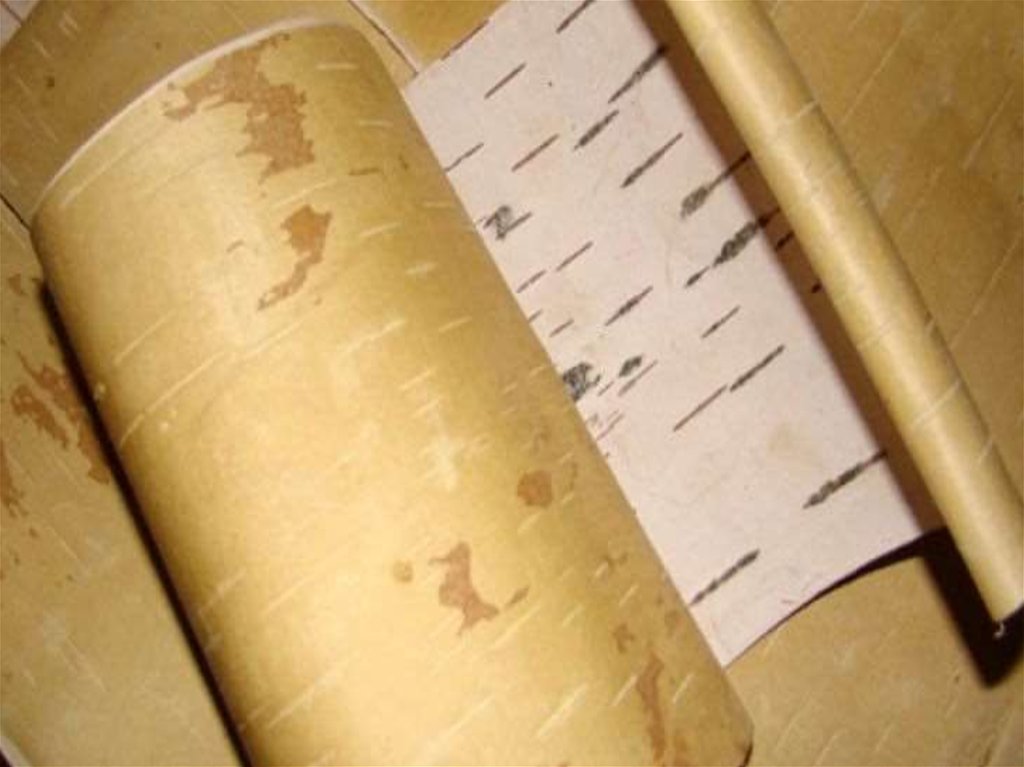 Береста. Свойство бересты. Свойство бересты. Свойства бересты. Давно знали о полезных свойствах.