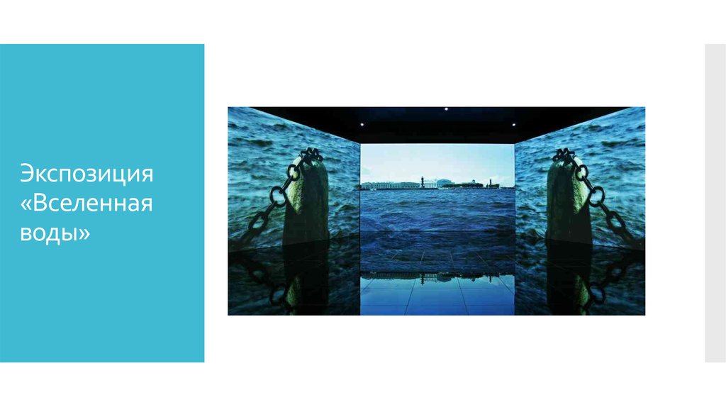 Экспозиция «Вселенная воды»
