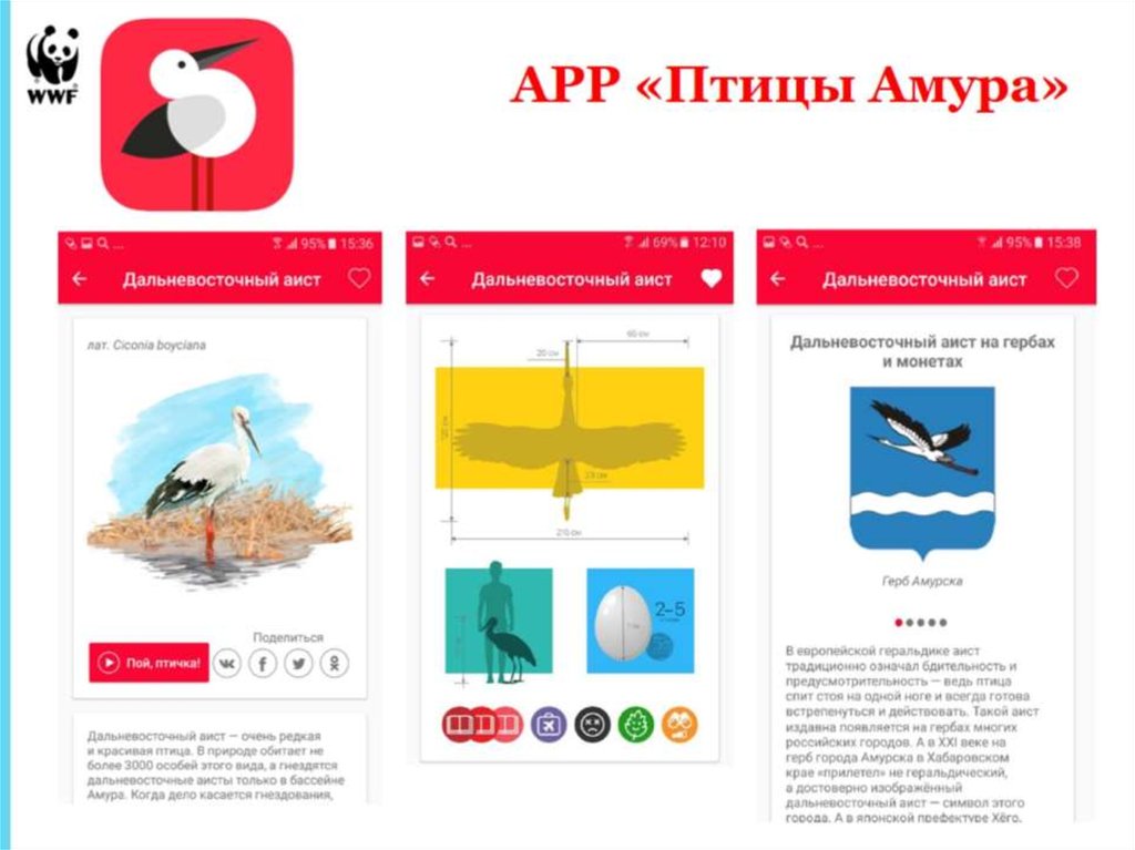 APP «Птицы Амура»