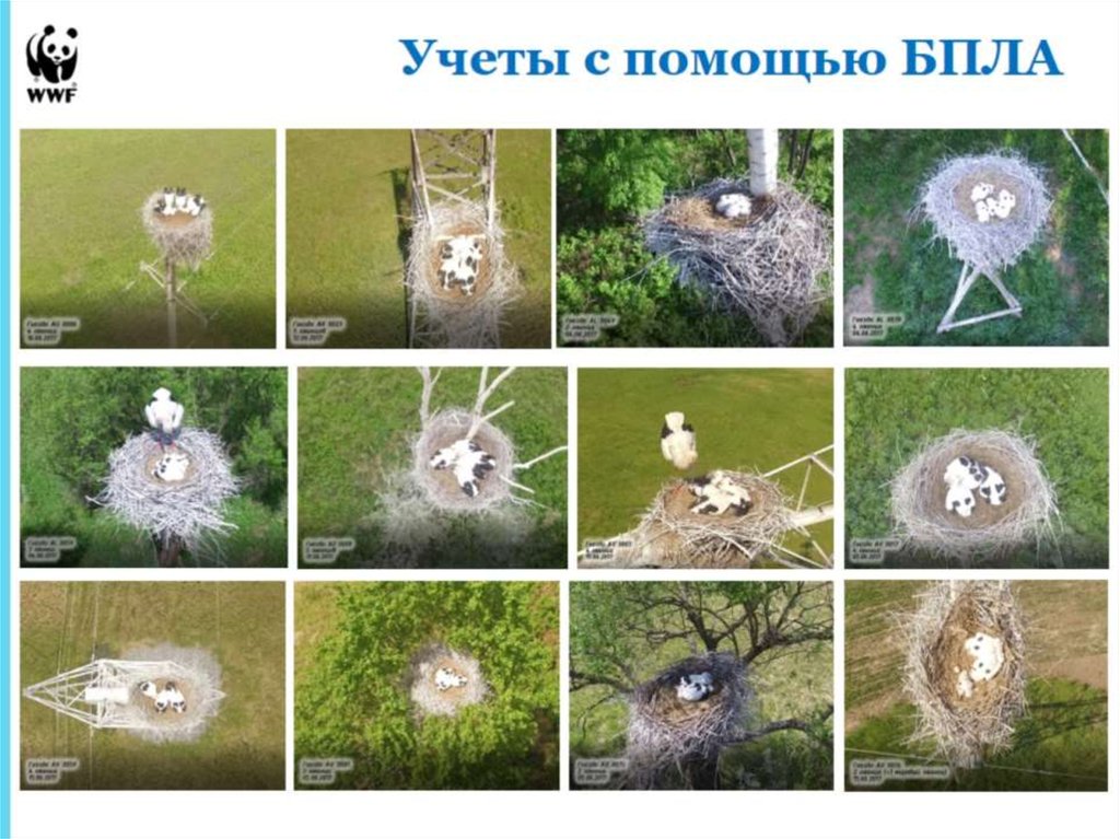 Учеты с помощью БПЛА