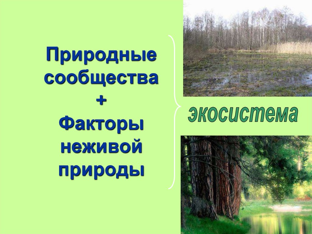 Факторы неживой природы. Естественные природные сообщества. Аридные сообщества растений. Искусственные природные сообщества. Примеры природных сообществ.