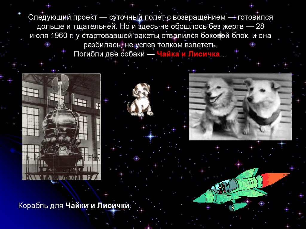 Первые космонавты презентация. Лисичка и Чайка полет в космос. Лисичка и Чайка в космосе. Чайка и Лисичка собаки в космосе.