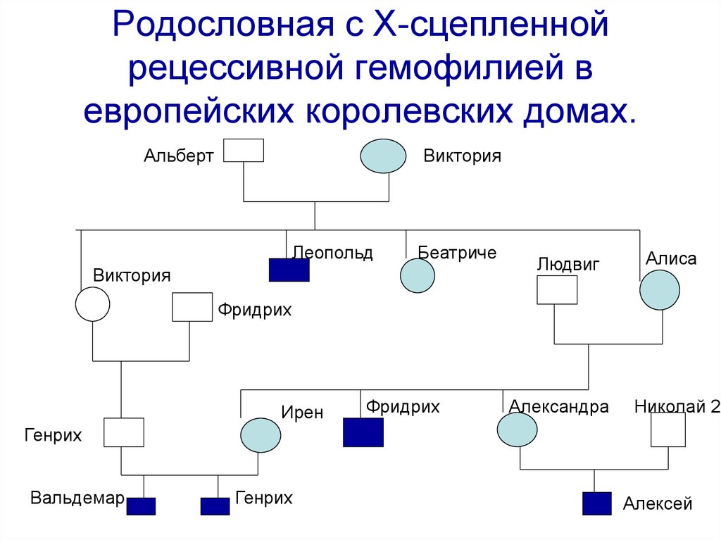 Родословная. Родословная Романовых гемофилия. Родословная генетика царя. Родословная наследования гемофилии. Родословная генетика с гемофилией.