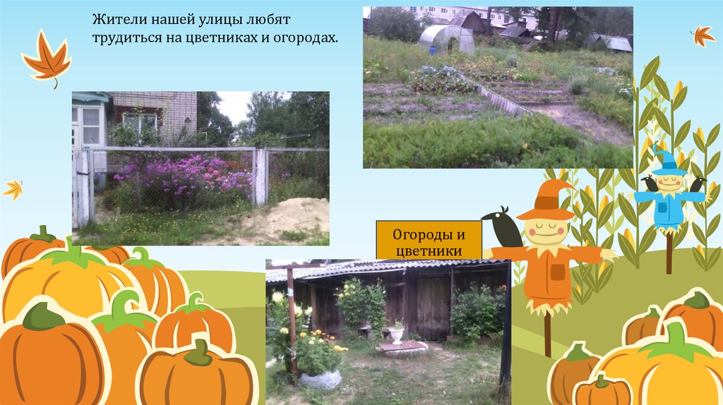 Огороды и цветники