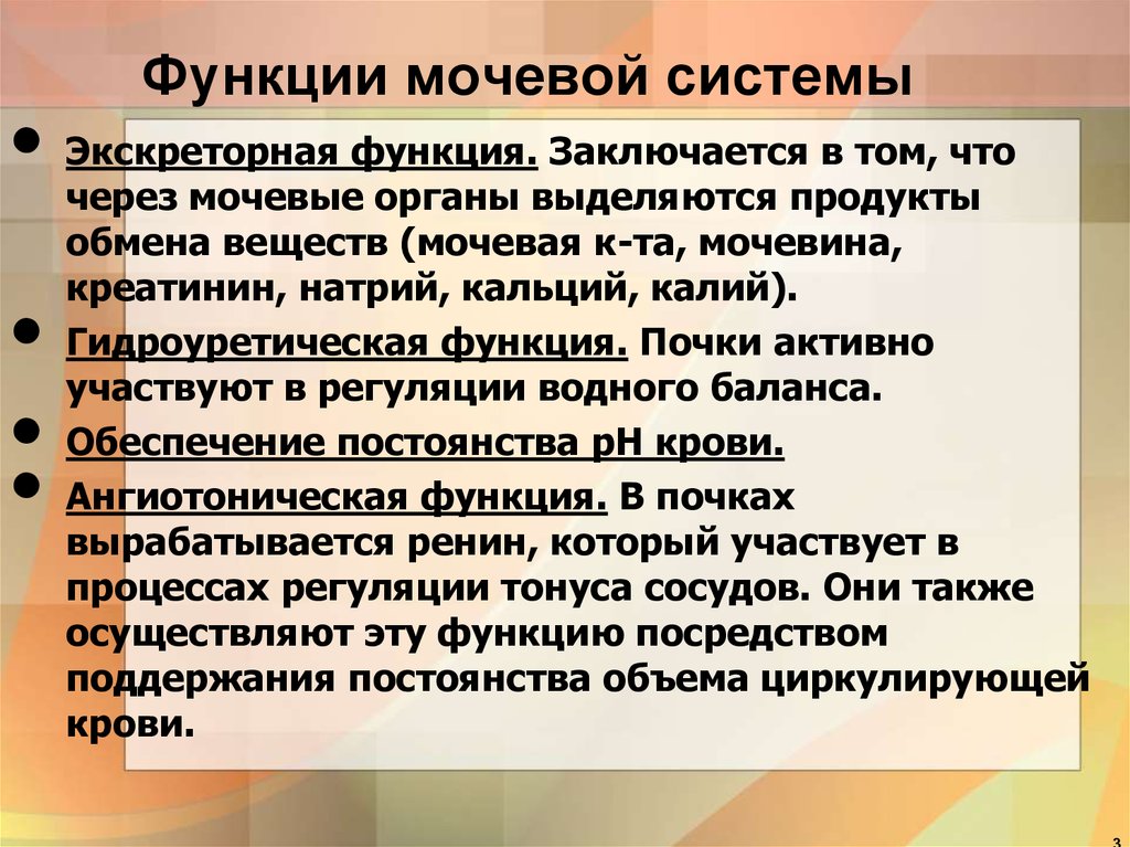 Посредством функции. Функции мочевой системы. Мочевая система выполняет функции. Функции выполняющиеся мочевой системой. Экскреторная функция почки заключается в выделении.