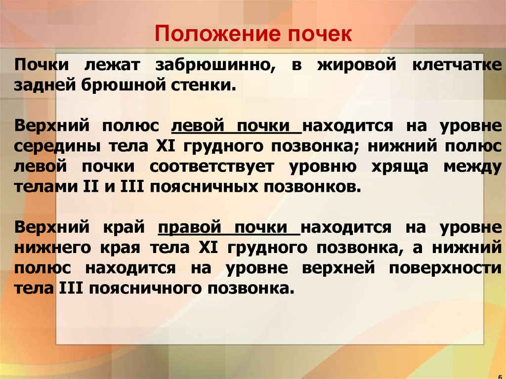 Верхние границы почек. Положение почек в норме. Положение левой почки. Положение правой почки. Почки в норме расположены на уровне.